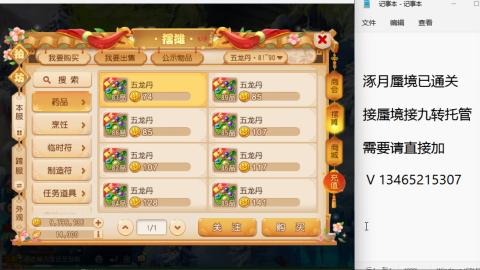 接九转蜃境托管~