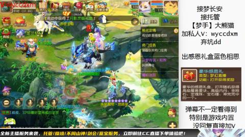 接大海龟活动最后俩天