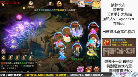 接大海龟活动最后俩天