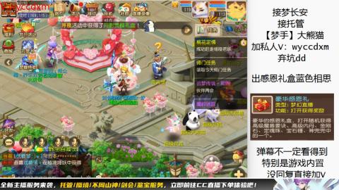 接大海龟活动最后俩天