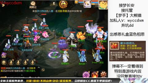 接大海龟活动最后俩天