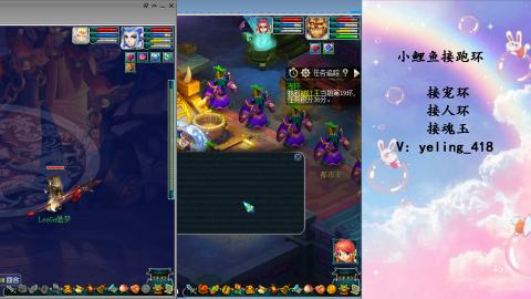 接命魂之玉 人环 宠环