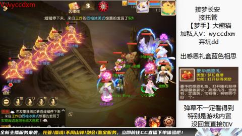 接大海龟活动最后俩天