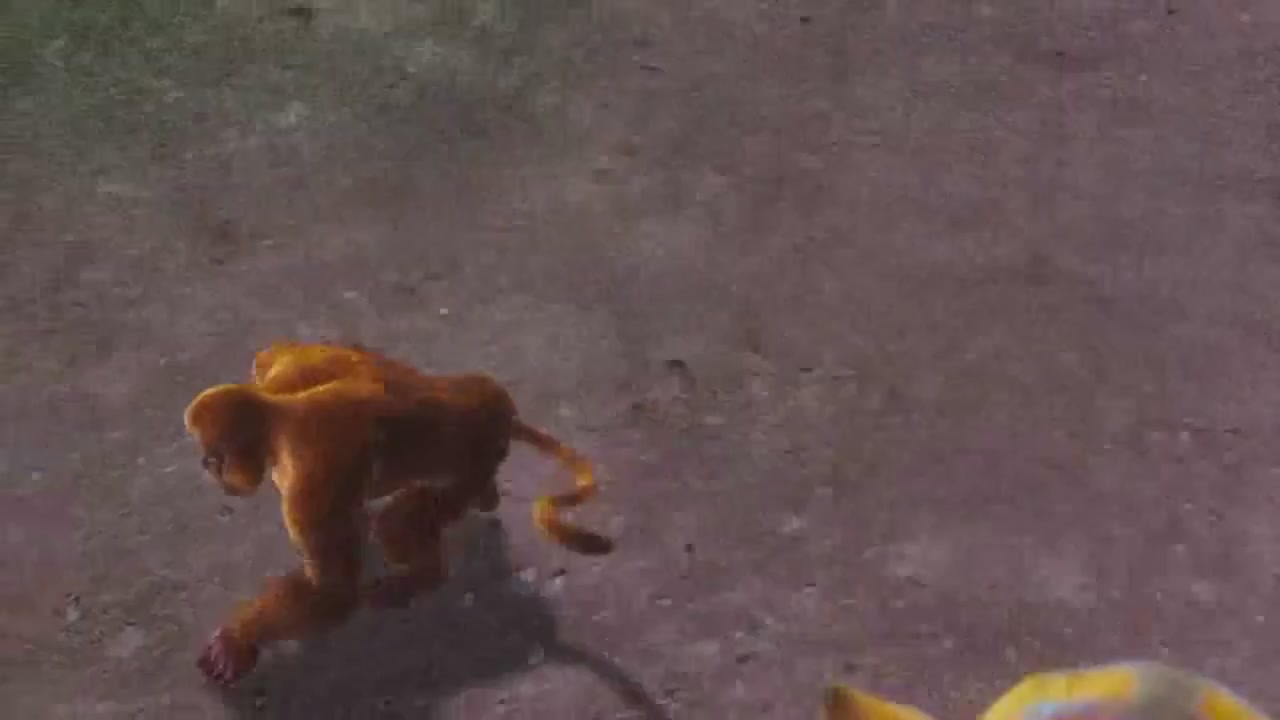 梦幻西游动画片第一季第6集