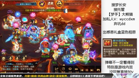 接大海龟活动最后俩天