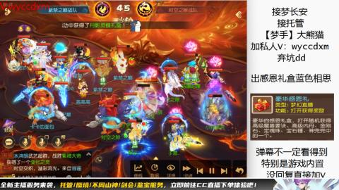 接大海龟活动最后俩天
