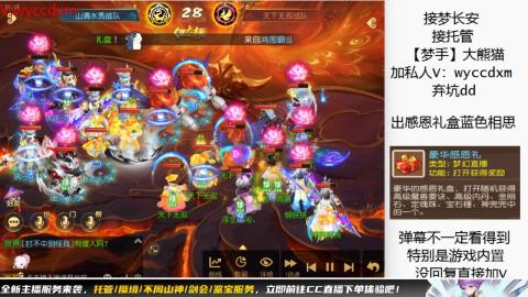 接大海龟活动最后俩天