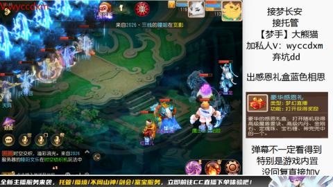 接大海龟活动最后俩天