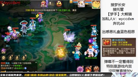 接大海龟活动最后俩天