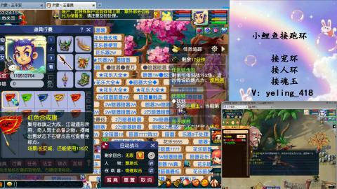 接命魂之玉 人环 宠环