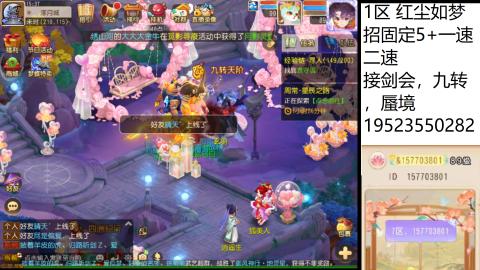 等风也等你
