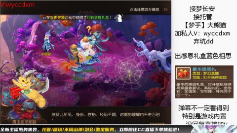 接大海龟活动最后俩天