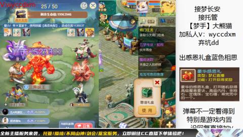 接大海龟活动最后俩天