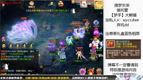 接大海龟活动最后俩天
