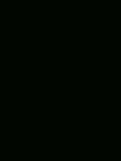 等风也等你