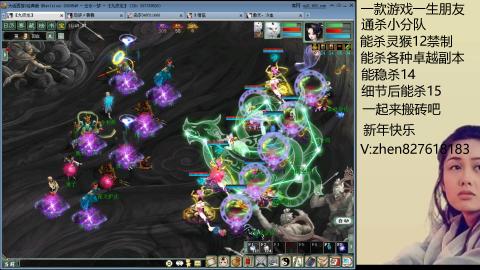 无属性双盘小分队