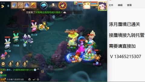 接九转蜃境托管~