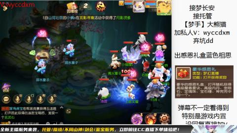接大海龟活动最后俩天