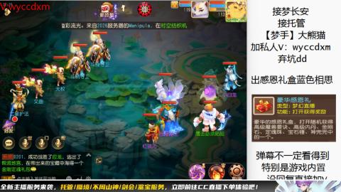 接大海龟活动最后俩天
