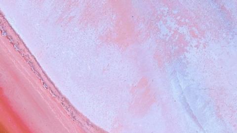 只希望我能带给你们快乐
