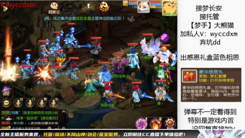 接大海龟活动最后俩天