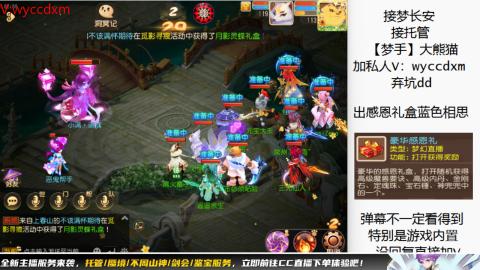 接大海龟活动最后俩天