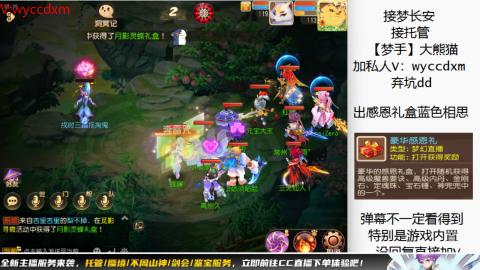 接大海龟活动最后俩天