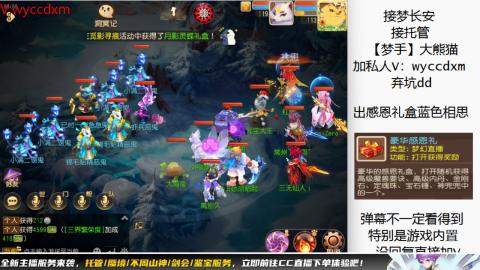 接大海龟活动最后俩天