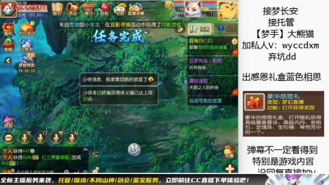 接大海龟活动最后俩天