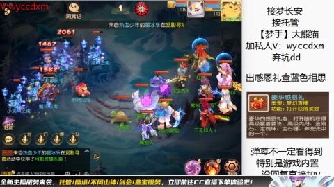 接大海龟活动最后俩天