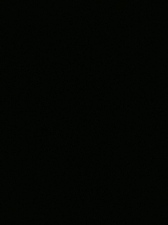 等风也等你