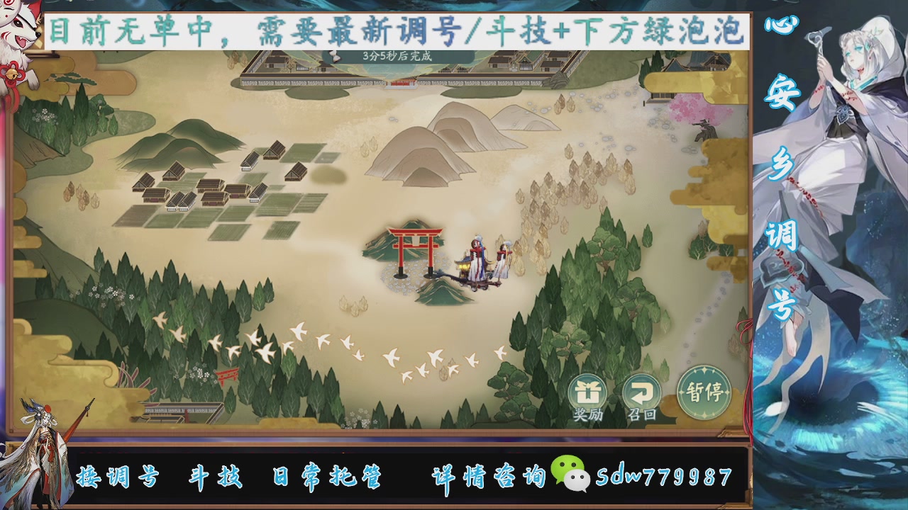 接调号|斗技|托管