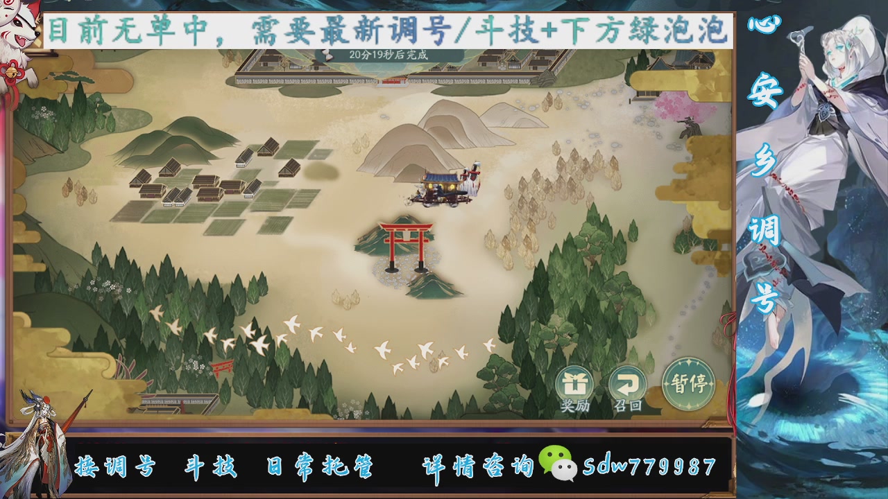 接调号|斗技|托管