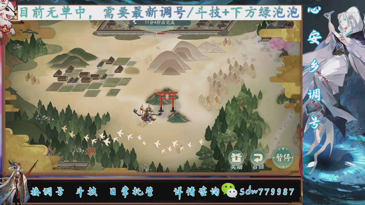 接调号|斗技|托管