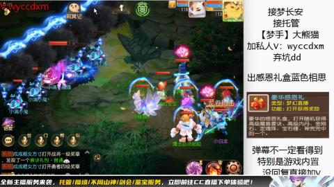 接大海龟活动最后俩天