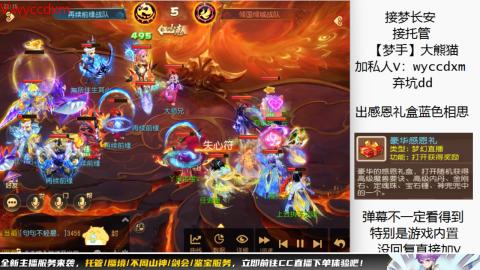 接大海龟活动最后俩天