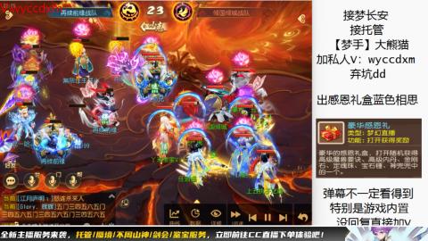 接大海龟活动最后俩天
