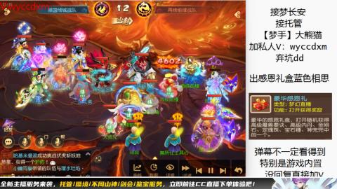 接大海龟活动最后俩天