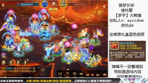 接大海龟活动最后俩天