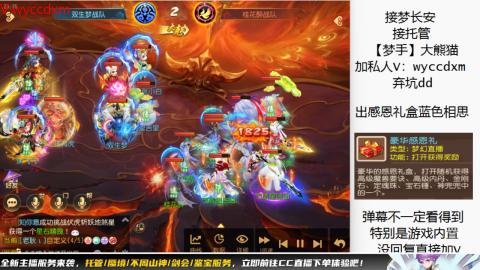 接大海龟活动最后俩天