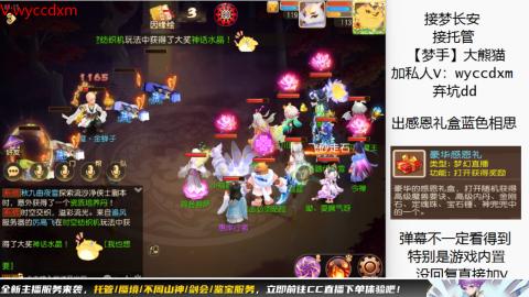 接大海龟活动最后俩天