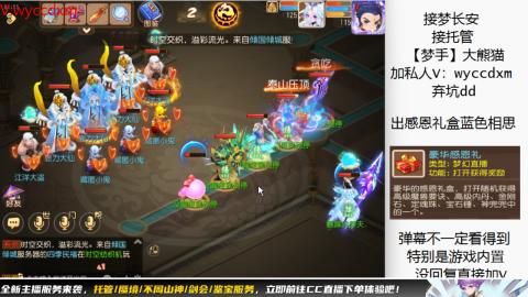 接大海龟活动最后俩天