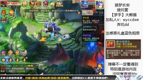 接大海龟活动最后俩天