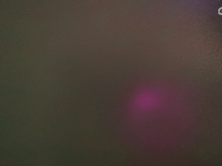别翻了~就我了~