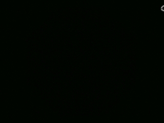 不要留下我一个人孤军奋战..