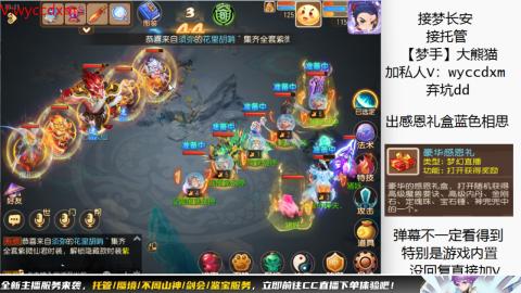 接大海龟活动最后俩天