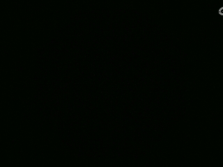 不要留下我一个人孤军奋战..