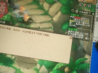 兄弟萌来了