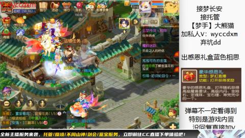 接大海龟活动最后俩天