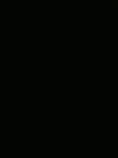 等风也等你
